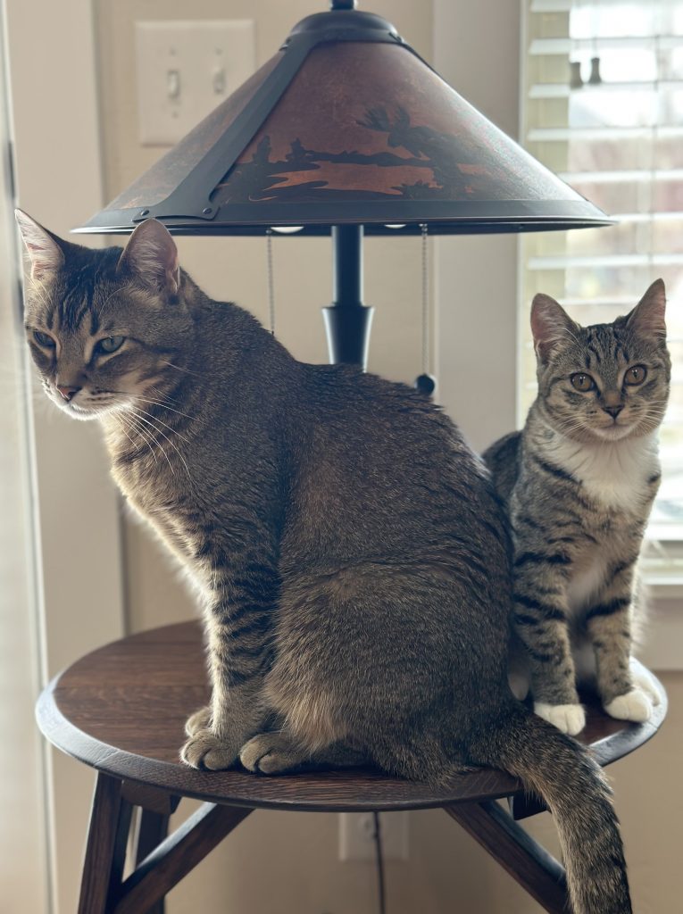 Coopeer And Stela 2 765x1024